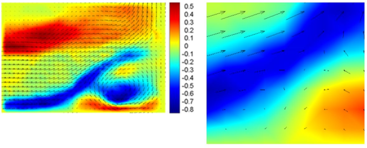 PIV Cross-correlation result plus detailed view of jet flow