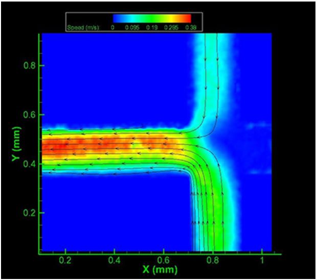 PIV flow characterization in 200 micrometer microchannel model